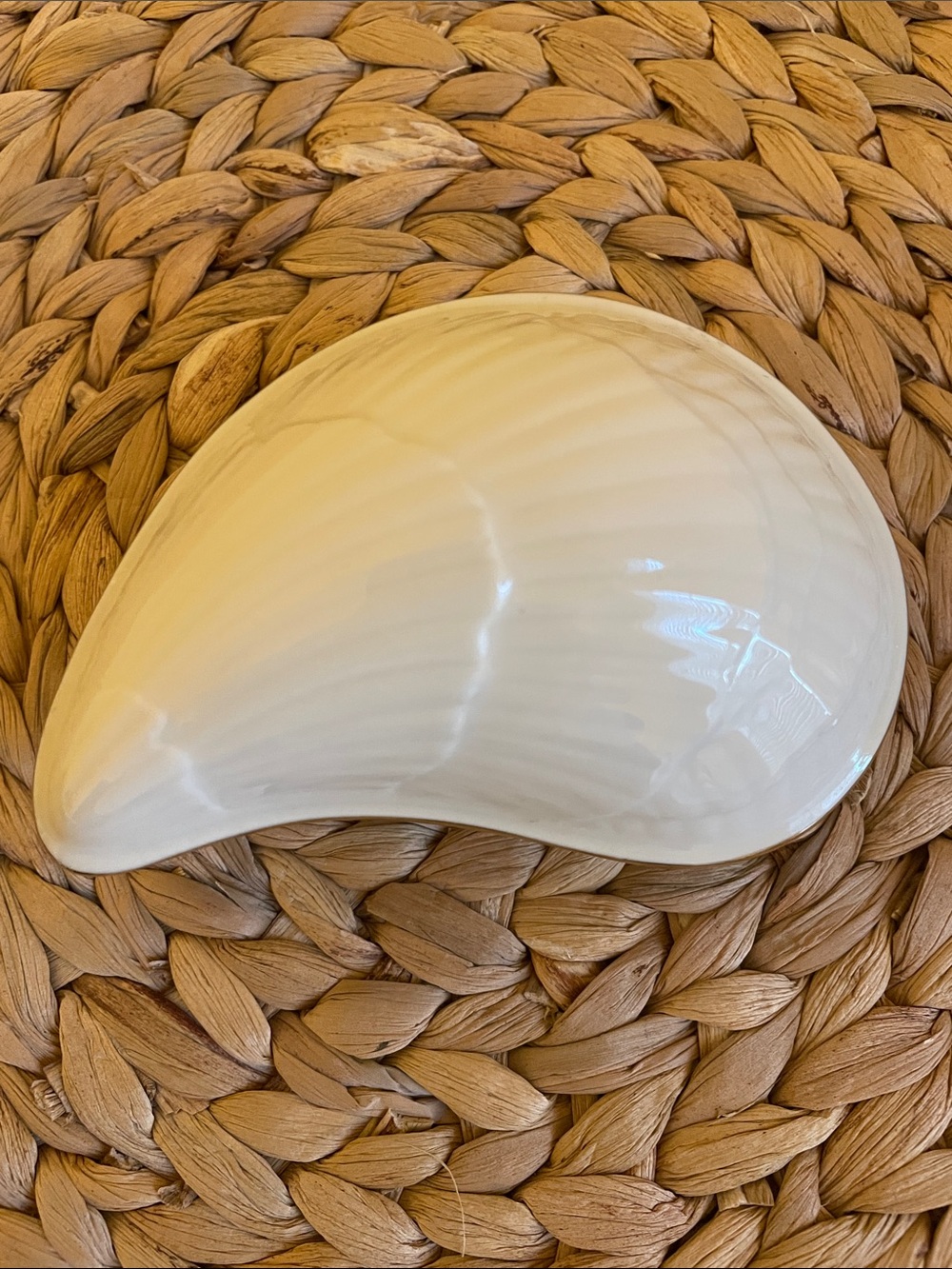 Lenox White Ceramic Shell Trinket Dish